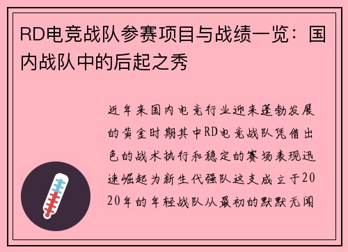 RD电竞战队参赛项目与战绩一览：国内战队中的后起之秀
